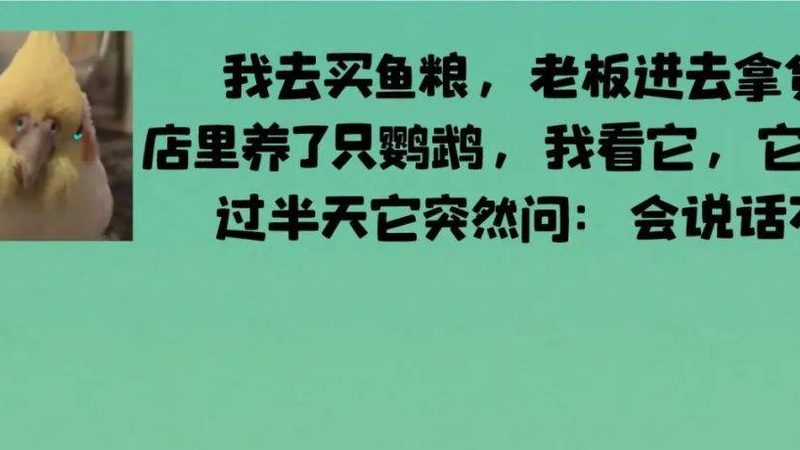 揭秘四川卤水调味料配方比例：传统工艺与现代科学的完美融合**