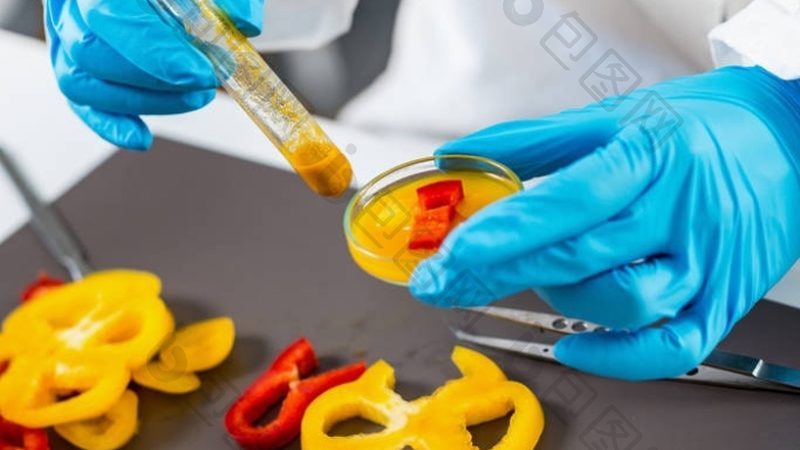 大米与面粉：揭秘两大主食的加工奥秘**